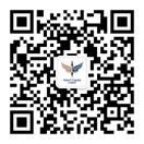 壹号娱乐 Vision Plus Capital